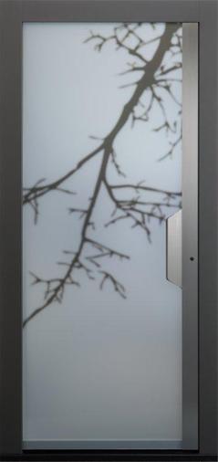 Passiefhuisdeur CU glass T2 Ast Pladeko ramen en Deuren